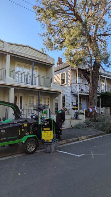 Peppermint Gum Removal — Balmain