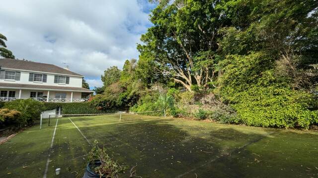 Port Jackson Fig Reduction — Vaucluse