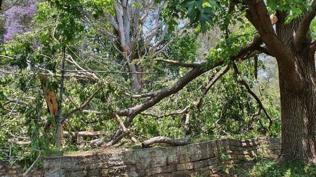 Storm Damage