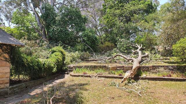 Storm Damage