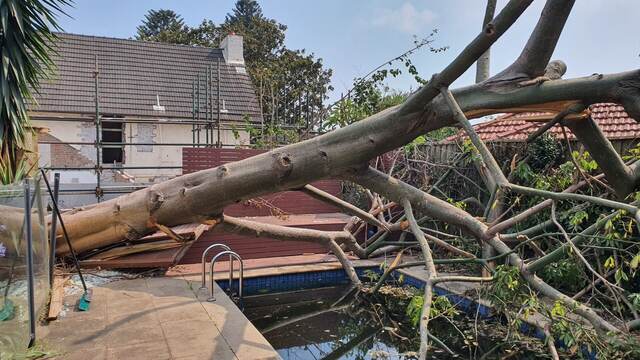Storm Damage