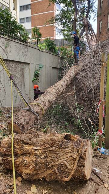 Storm Damage