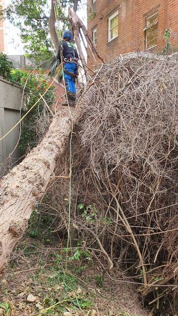 Storm Damage