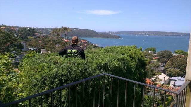 Tree Pruning