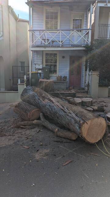 Tree Removal