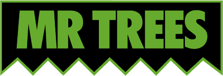 MR TREES Logo