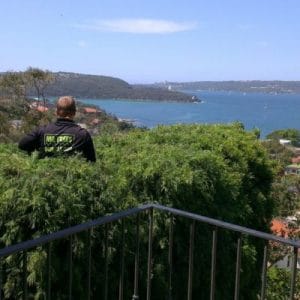 Tree Removal Service in North Sydney
